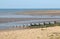 Whitstable Beach