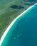 Whitsunday coastline rainforest aerial with boats