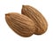 Whole almond nut double on white background