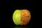 A whole apple consisting of two parts, fresh green and shriveled yellow on a black background close-up.