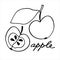Whole apple and the half of it. Black and white vector illustration with hand lettering