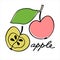 Whole apple and the half of it. Colorful vector illustration with hand lettering