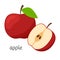Whole Apple and half with seeds. Apple cut in half. Flat style. Fruit icon. Color vector illustration isolated on a