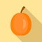 Whole apricot icon, flat style