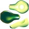 Whole avocado, slice and wedge in vector
