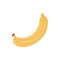 Whole banana with yellow skin. Fresh ripe tropical fruit with peel. Exotic sweet banan drawn in simple doodle style