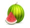 Whole beautiful Watermelon with a slice section of ripe fruit - Great vector icon of tasty fruit isolated on white.