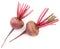 Whole beets on white background, isolated. The view from top
