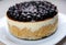 Whole blueberry cheesecake on a white plate side view