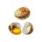 Whole and broken brown quail egg shell. Vector vintage hatching