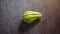 Whole Chayote squash