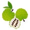 Whole cherimoya fruits and half on a white background.