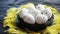 Whole Chicken eggs in a nest on a black rustic wooden background. Easter symbols