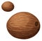 Whole coconut. Cartoon vector icon isolated