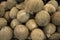 Whole coconuts in pile closeup photo. Exotic fruit or nut. Brown hairy coconuts for sale
