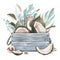 Whole coconuts and slices with tropical palm leaves and shells in a gray wooden box. watercolor illustration. Template