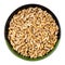 Whole common wheat grains in round bowl isolated