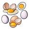 Whole and cracked, broken shell chicken egg composition