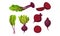 Whole and Cut Dark Red Beetroot or Chard with Top Leaves Vector Set