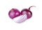 Whole and cut fresh shallot or red onion on white background