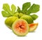 Whole and cut green figs, with fig leaves.