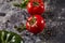 Whole and cutted tomato of pizza on italian black paper table