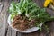 Whole dandelion plants with roots on a plate