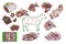 Whole drawing mutton in piece and raw pieces of lamb meat on white background