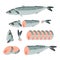 Whole, fillet and sliced mackerel. Vector illustration with sea fish in cartoon style. Steak and pieces of ocean fish isolated on