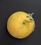 A whole fragrant melon stands on a black background