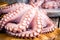 Whole fresh raw octopus on cutting board closeup