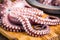 Whole fresh raw octopus on cutting board closeup