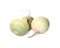 Whole fresh ripe turnips on white background