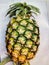 The whole fresh tropical pineapple yellow right on white background isolate