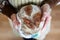 Whole-grain artisan bread loaf in grandmother hands, baking