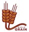 Whole grain product logotype with ripe wheat ears