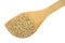 Whole grain sorghum seeds on a wood spoon.