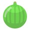 Whole green figs icon, isometric style