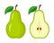 Whole green pear and half pear slice vector illustration isolate