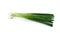 Whole green spring onion on white