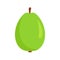 Whole guava icon, flat style