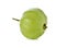 Whole guava with stem on white