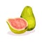 Whole and half of fresh guava. Exotic fruit. Organic product. Healthy nutrition. Detailed flat vector design