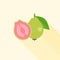 Whole and Half guava in cross section icon