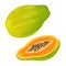 Whole and half papaya. Vector color flat illustration