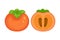 Whole and half persimmon vector illustration isolated