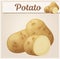 Whole and half potato vegetable. Cartoon vector icon