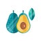 Whole and half of ripe avocado and leaf in gradient colors. Healthy vegetable. Vegetarian nutrition. Natural product