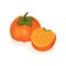 Whole and half and ripe persimmon. Tasty and healthy fruit. Food theme. Flat vector element for product packaging