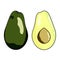 Whole and halved fresh avocado isoleted on white color background.